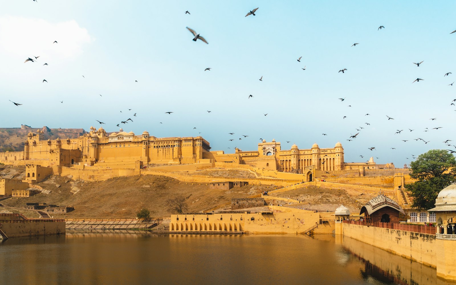 Amber Fort above Maota Lake near Jaipur